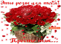 Эти розы для тебя! Просто так от меня