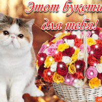 Открытка с экзотической кошкой и корзиной пёстрых роз