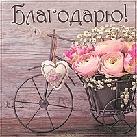 Фото картинка благодарю