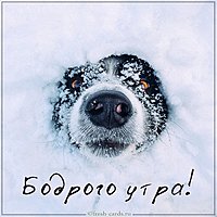 Фото картинка бодрого утра прикольная