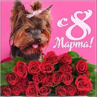 Фото картинка на 8 марта
