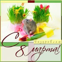 Фото открытка к 8 марта