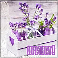 Фото открытка привет
