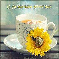 Фото с добрым утром прикольное с надписью