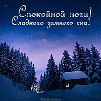 Фото спокойной ночи зимы