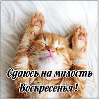 Фото воскресенье выходной прикольное