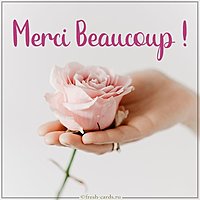 Image Merci Beaucoup