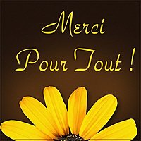 Image Merci Pour Tout