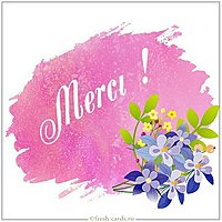Image Merci