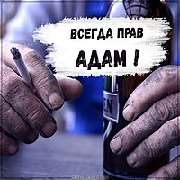 Картинка Адам всегда прав