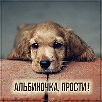 Картинка Альбиночка прости