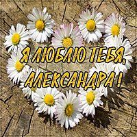 Картинка Александра я тебя люблю
