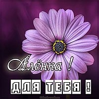 Картинка Алена для тебя