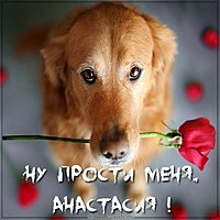 Картинка Анастасия прости меня
