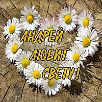 Картинка Андрей любит Свету