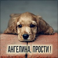 Картинка Ангелина прости