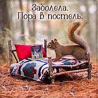 Картинка белка болеет