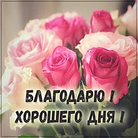 Картинка благодарю хорошего дня