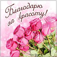 Картинка благодарю за красоту