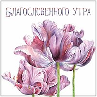 Картинка благословенного утра красивая