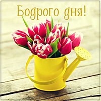 Картинка бодрого дня красивая