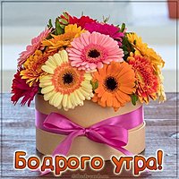 Картинка бодрого утра красивая герберы