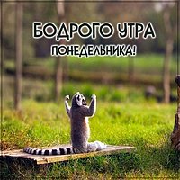 Картинка бодрого утра понедельника прикольная