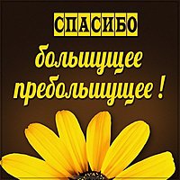 Картинка большущее пребольшущее спасибо