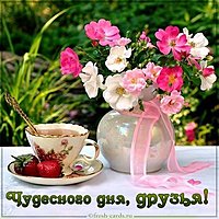 Картинка чудесного дня друзья