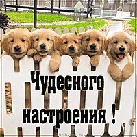 Картинка чудесного настроения красивая с надписью