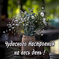 Картинка чудесного настроения на весь день красивая