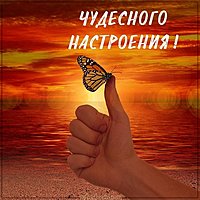 Картинка чудесного настроения с бабочками