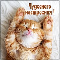 Картинка чудесного настроения смешная