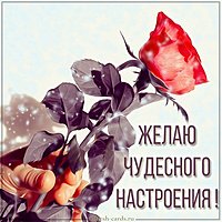 Картинка чудесного настроения женщине