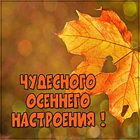 Картинка чудесного осеннего настроения