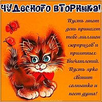 Картинка чудесного вторника доброго дня