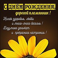 Картинка для племянника с днем рождения