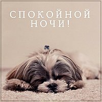 Картинка добрая спокойной ночи