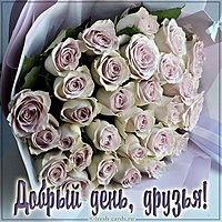 Картинка добрый день друзья с надписью красивая
