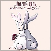 Картинка добрый день любимое солнышко