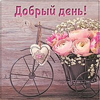 Картинка добрый день прикольная необычная