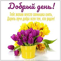 Картинка добрый день с надписью девушке