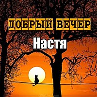 Картинка добрый вечер Настя