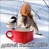 Картинка добрый зимний день