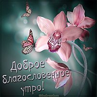 Картинка доброе благословенное утро красивая