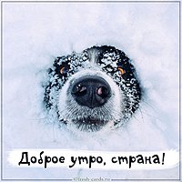 Картинка доброе спортивное утро прикольная