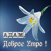 Картинка доброе утро Адам