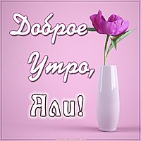 Картинка доброе утро Али