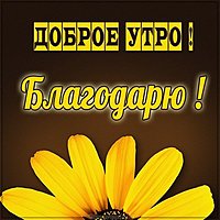 Картинка доброе утро благодарю