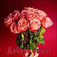 Картинка доброе утро девушке со словами